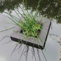 Plaukiojantis vazonas vandens augalams 24x24cm